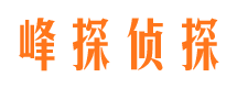 点军市婚外情调查